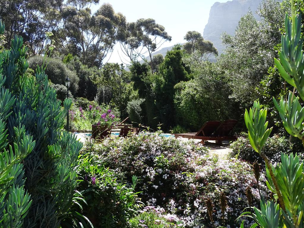Intaba Lodge Hout Bay Exterior foto