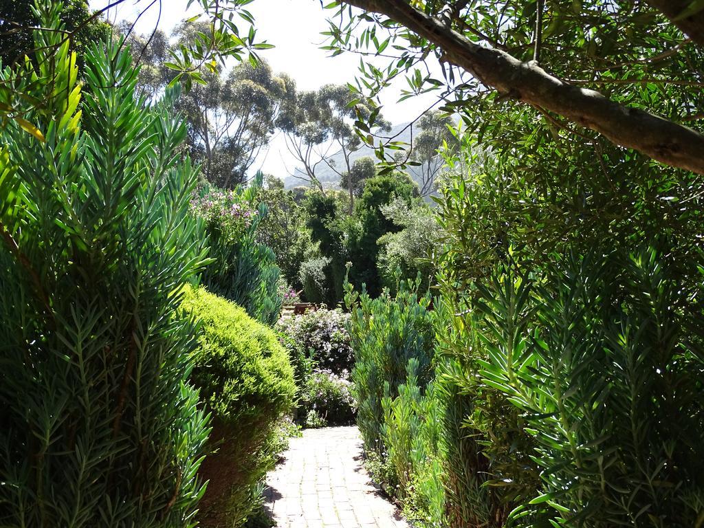 Intaba Lodge Hout Bay Exterior foto