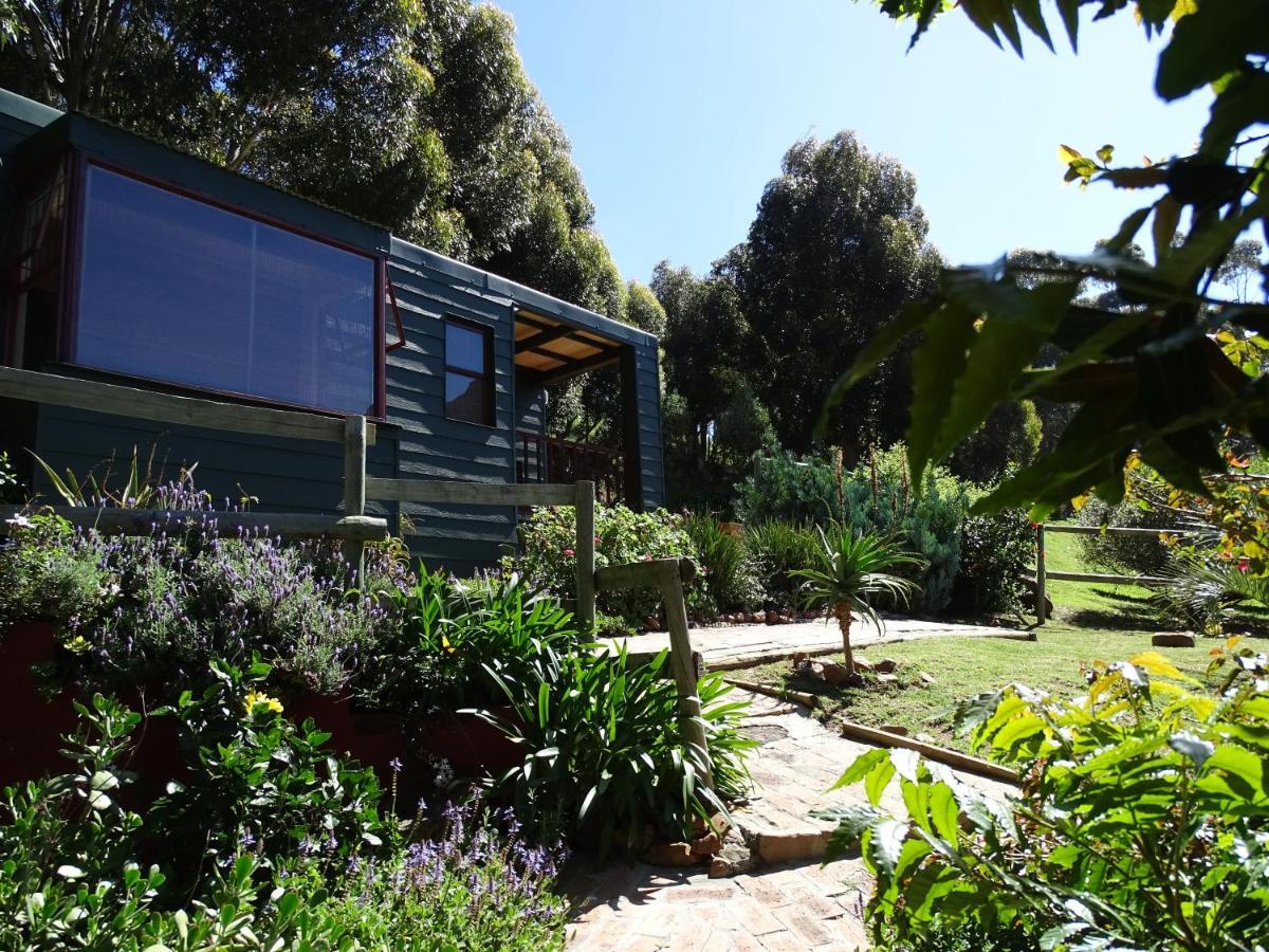 Intaba Lodge Hout Bay Habitación foto